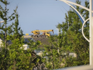 406294