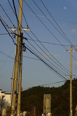 F6A8E599-49E9-4554-9EC5-E81294A9DB9B/L0/001