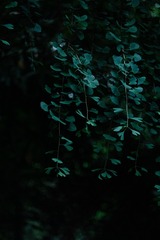061FCDB5-A823-469B-88F6-376F33AB57B1/L0/001