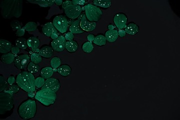 41BD1718-41EE-4438-8B58-1856F8978B45/L0/001