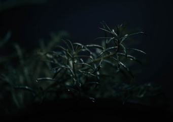 58F85FD5-4452-4C3A-929E-D5009C41F59D/L0/001