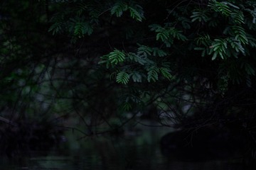 8293D0C6-C15F-4761-B627-415D5D8370E3/L0/001
