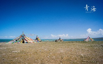 DSC01616.jpg