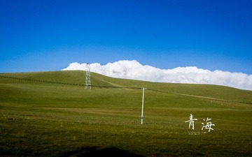 DSC01772.jpg