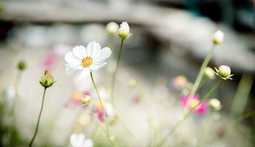 DSC_2780-编辑