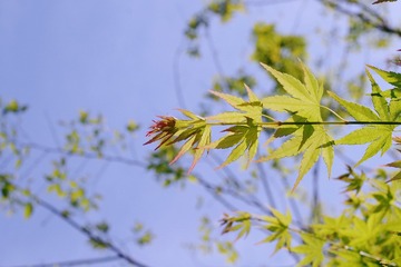 7AE743FA-76D4-4380-90E5-146C891E8291/L0/001