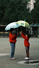 A4484EEF-CA9C-4C4E-8F81-90101324368E/L0/001