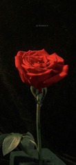 FB010A14-B99C-43F0-80C4-51D362C579C8/L0/001