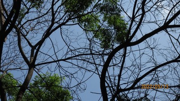 045AB0D0-FF17-4A94-B8C9-ECB1478FF744/L0/001