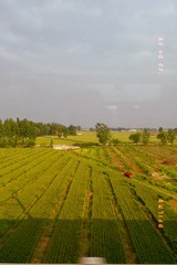 B09FC3F6-6E72-41C4-BE29-838D6B9A3AD6/L0/001