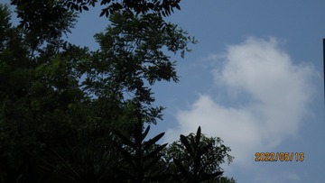 A8A5BAC7-D58F-4B1F-96E2-212413F63863/L0/001