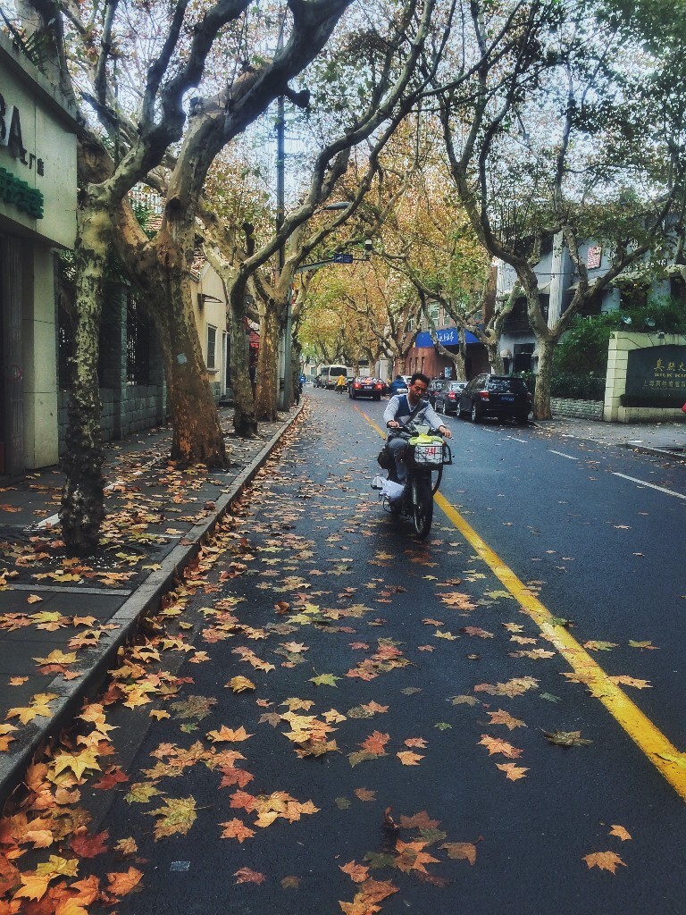 十二月,某天中午午休下楼吃饭,随手拍摄的街景。