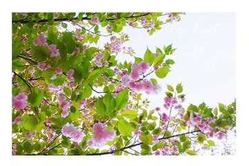 B39141F1-87EF-4D0D-8A2C-EAEA7F15D649/L0/001
