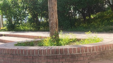 2743528