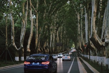 A02F7B2A-C488-4793-AAB5-76F0242B83ED/L0/001