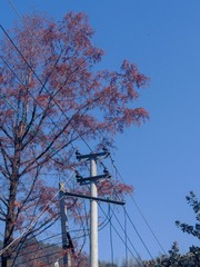 DED3C92E-B18B-41A6-87D9-27FEF67BCCA0/L0/001