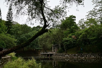 4F50D237-04F0-4025-8531-57EB084A91CD/L0/001