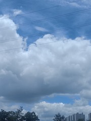 59497