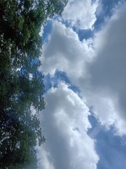 59806