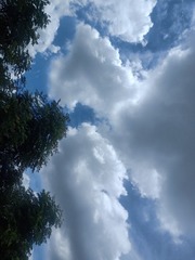 59827
