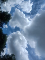 59826