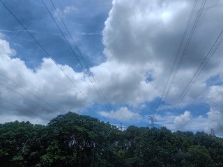 59615