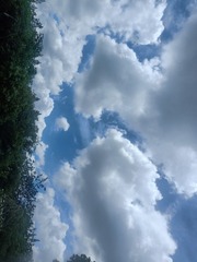 59798