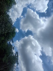 59817