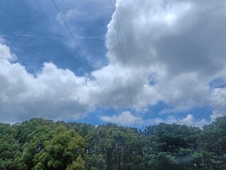 59618