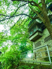 P1000459.jpg