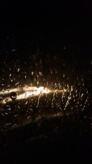 IMAG0230.jpg