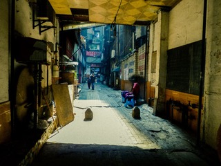 20120503-P1000811.jpg