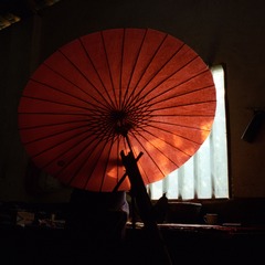 IMG-5000-65296-135-1