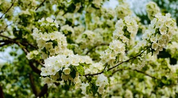 5E817A29-B91C-4DB8-AC72-68F2BFBBC732/L0/001