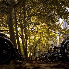 IMG-9000-31149-120