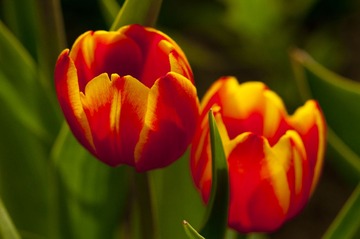 IMG_0088.JPG