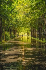 E7A9C006-F37B-49A4-B28E-FE8CB904FD14/L0/001
