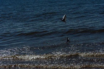 C632C1C9-93EA-4AD1-AE1B-0937430DF048/L0/001