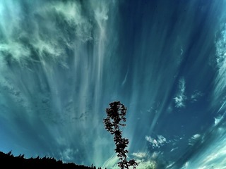 F90BA2EB-C0A7-4A7A-8F35-DFEF20EEB854/L0/001