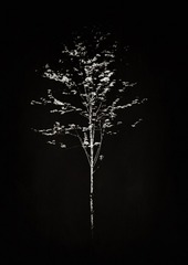 E60D6ECB-705F-4584-A3E6-6803A7537319/L0/001