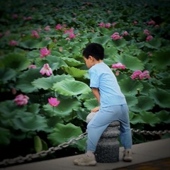 314953EF-1B05-4BD6-9EE3-E022100EDB9B/L0/001
