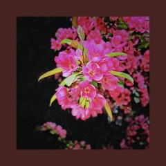 ABF3FAB7-639E-4808-A0A0-CE1E02C651A5/L0/001