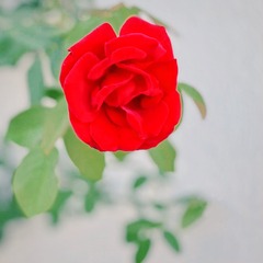 60D5B4F1-A351-44B3-A1C4-6B815A71E8CC/L0/001