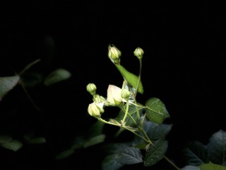 B130B5C9-6A5C-465B-A207-34DBEF8D959F/L0/001