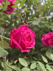C37BC1F2-5EF3-4DE7-BA95-DFFD39867351/L0/001
