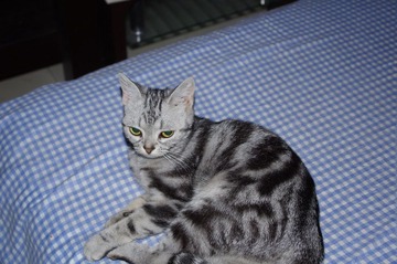 IMGP0016.JPG