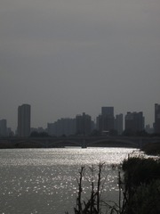 9E005BD6-3A91-4D7D-8161-F7E4DE47CA59/L0/001