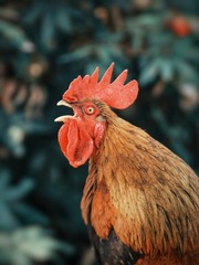 852577