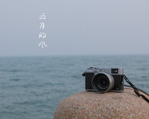 IMG_6849.jpg