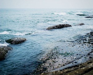 20130621-IMG_6949.jpg